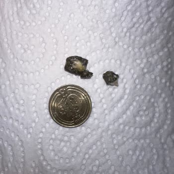 Helvacım Gıda Helvadan Taş Çıktı