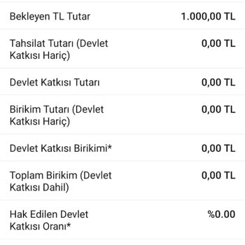 Garanti Bankası Bireysel Emeklilik Ödenen Tutar Hesapta Gözükmüyor