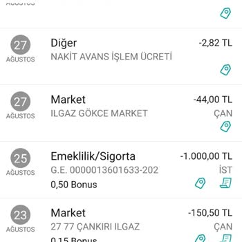 Garanti Bankası Bireysel Emeklilik Ödenen Tutar Hesapta Gözükmüyor