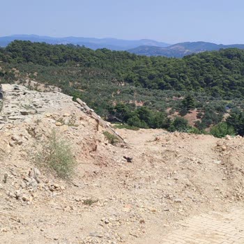 Trivago Book & GO By Hotels.com Şikayetim