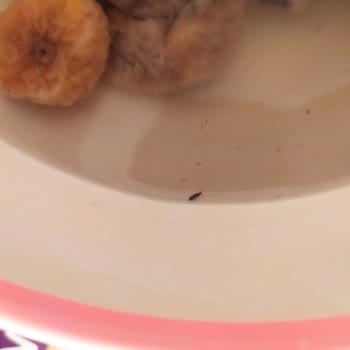 Tarım Kredi Kooperatif Market Tarım Kredinin Kuru İnciri Böcekli