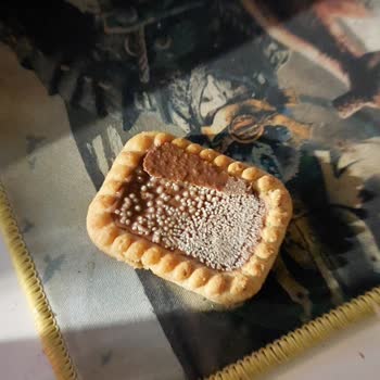 Eti Gıda Eti Burçak Sutlu Çikolatalı Bozuk Bisküvi