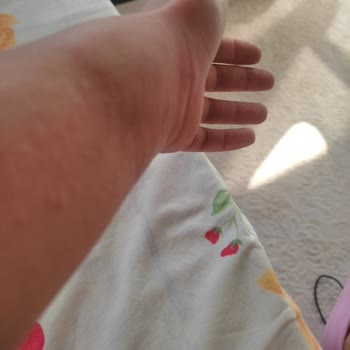 Seferihisar Belediyesinin Dereyi Temizleyip İlaçlaması