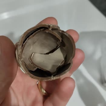 Ozmo Tat Ve Bozukluk