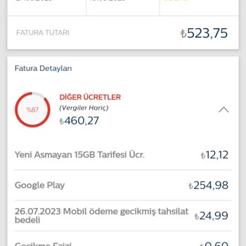 Remini Tam Bir Facia!