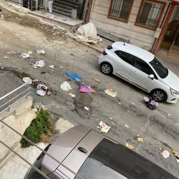 EyüpSultan Belediyesi Çöp Problemi Konteyner