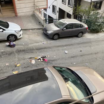 EyüpSultan Belediyesi Çöp Problemi Konteyner