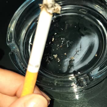 JTI Sigaradan Odun Gibi Bir Şey Yanıyor