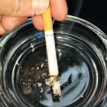 JTI Sigaradan Odun Gibi Bir Şey Yanıyor