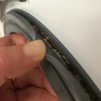 LG Çamaşır Makinesinde Oksitlenme