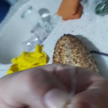 BİM Kaşar Peynirinden Plastik Çıktı