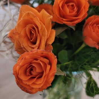 Çiçek Sepeti'nin Azizliği