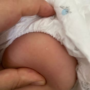 Sleepy Emici Taneciklerin Dışarı Çıkması