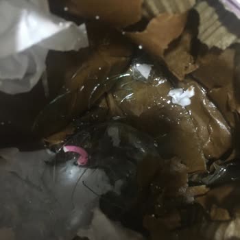 Aras Kargo Kargom Paramparça Olmuş