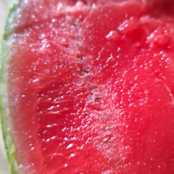 A101 Bozuk Ürün Eksik Ürün Paramı Çöp