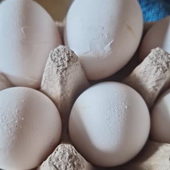 A101 Bozuk Ürün Eksik Ürün Paramı Çöp