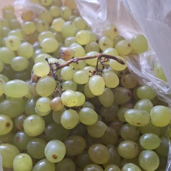 A101 Bozuk Ürün Eksik Ürün Paramı Çöp