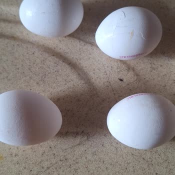 A101 Bozuk Ürün Eksik Ürün Paramı Çöp