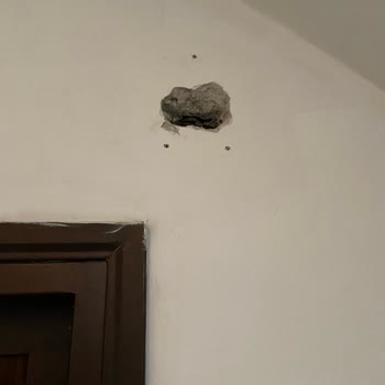 Secom Alarm Evime Kalıcı Zarar Verdi