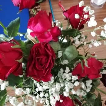 Çiçek Sepeti Bir Daha Asla