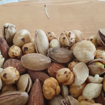 BİM'den Aldığım Kuruyemişin İçinden Kurt Çıktı