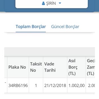 Gelir İdaresi Başkanlığı Anaparası 1000 TL Olan Cezam Silinmedi