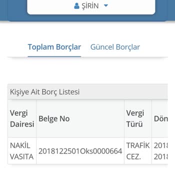 Gelir İdaresi Başkanlığı Anaparası 1000 TL Olan Cezam Silinmedi