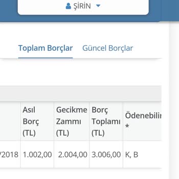 Gelir İdaresi Başkanlığı Anaparası 1000 TL Olan Cezam Silinmedi