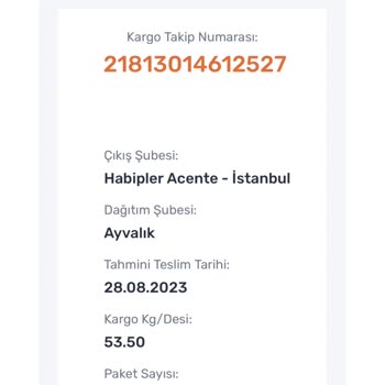 Sürat Kargo Kargo Teslim Edilmemesi