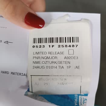 Air Serbia Bavulumun Tekerini Kırdılar