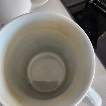 Beko Bulaşık Makinesi Temiz Yıkamıyor, Kurutmuyor, Servis İlgilenmiyor