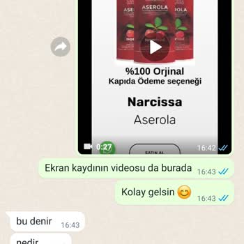 Fest Danışmanlık ve Depolama Narcissa Aserola Türkiye