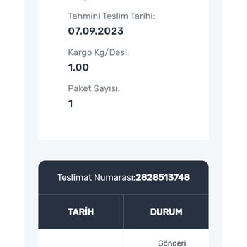 Aras Kargo Kargo 4 Gündür Araçta