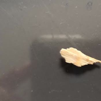 Canbis Gıda Gevreğin İçinden Çıkan Cisim