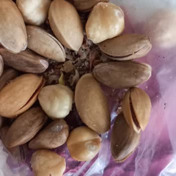 Tatbak Gıda Kuruyemişten Kurt Ve Böcek Çıkması