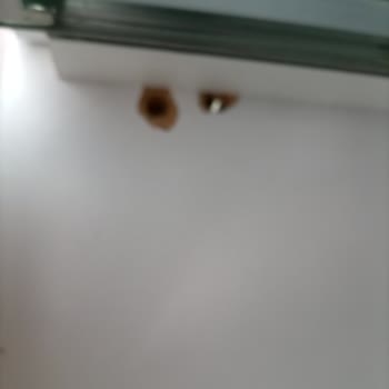 Evkur Alışveriş Satıcı Ürüne Gelip Bakmıyor