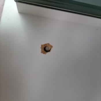 Evkur Alışveriş Satıcı Ürüne Gelip Bakmıyor