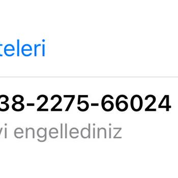 WhatsApp Güvenlik Açığı