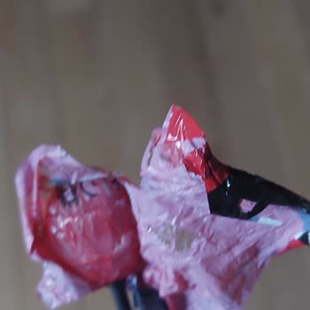 Rocco'nun Büyük Unutkanlığı!