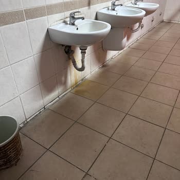 Milli Eğitim Bakanlığı (MEB) Gültepe Tınaz Tepe İlk Okulu Deneyimim