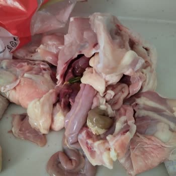 BİM Organlarının Hepsiyle Konulmuş Bütün Tavuk