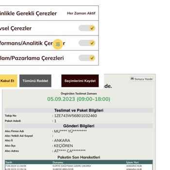 UPS Türkiye Kargo Gecikmesi Kod Gelmesine Rağmen Yaşanan Gecikme