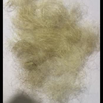 Berk Kurtuluş Hair Studio Saçlarım Yandı Ve Koptu