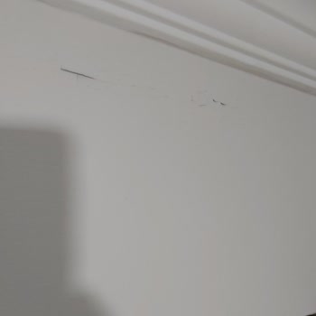 Marshall Boya M******* M****** Boyanın Çıkardığı Kötü Sonuç
