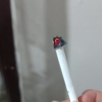 JTI Sigaradan Odun Çıkması