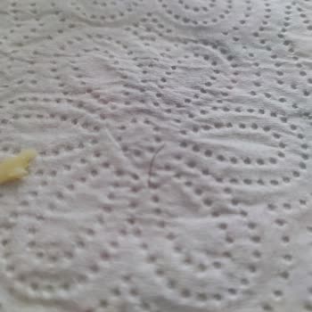 Türkova Süt Tost Peynirinde Kıl Çıktı