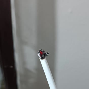 A Piece of Wood Came Out of My Winston Slender Cigarette