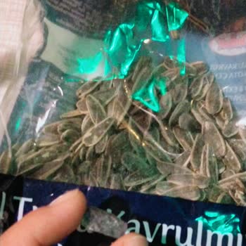 Simbat Kuruyemiş Çekirdekten Cam Çıktı