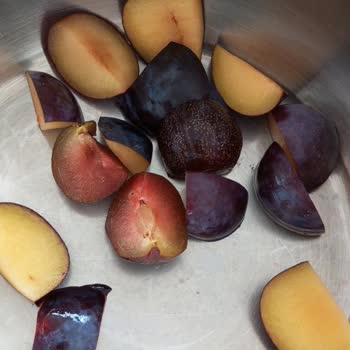 Anka Gross Haksız Kazanç Kurtlu Ürün