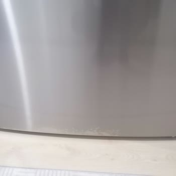 2.5 Aylık Bosch Buzdolabımda Renk Solması